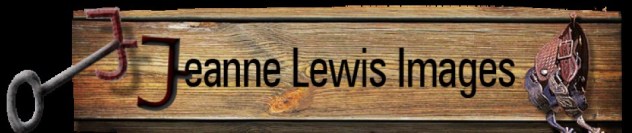 cropped-jeanne_lewis_images_logo.jpg